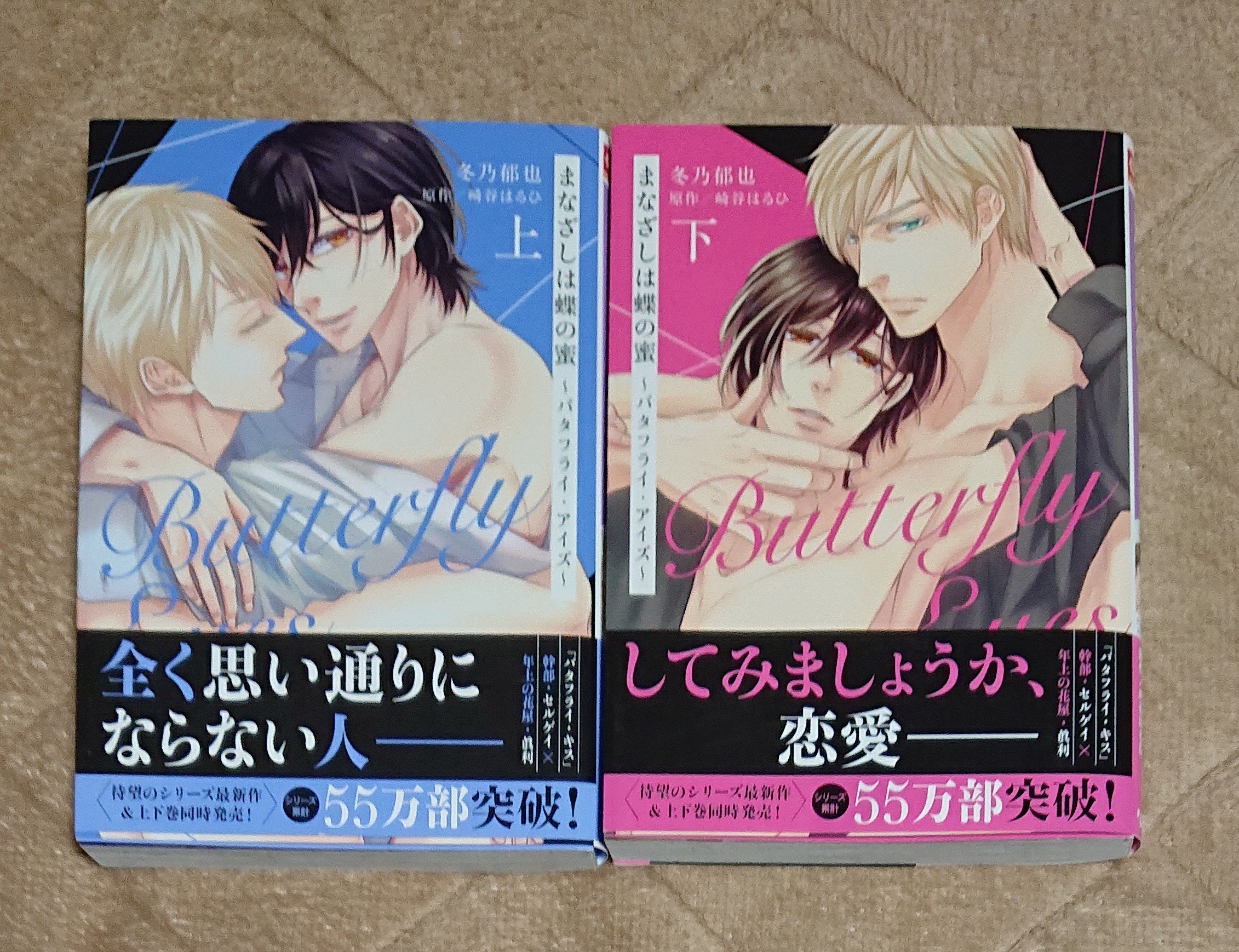 番外編 崎谷はるひ 冬乃郁也 ざらざら しなやかな熱情 小冊子 | www