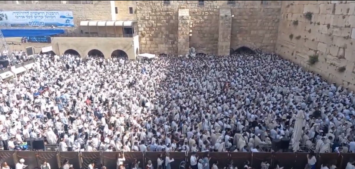 🇮🇱✡️Capital Jew tweet media