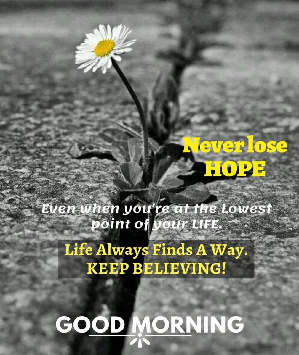 gmannn59's tweet photo. https://t.co/XRrWAuRdrq