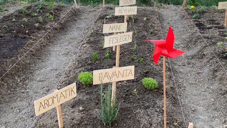 Yürütücüsü olduğum,TÜBİTAK 2209A projesi kapsamında, İnönü İlkokulu bahçesine, öğrencilerle bitki diktik.Proje kapsamında bana destek veren hocalarıma teşekkür ederim.<a href="/uzun_orhan/">ORHAN UZUN</a> <a href="/ProfHasanMandal/">Prof. Dr. Hasan Mandal</a> <a href="/m_zahmakiran/">Prof. Dr. Mehmet Zahmakıran</a> <a href="/GencLermi/">Ayşe Genç Lermi</a> <a href="/KaYaHaNKaDiR15/">Kadir KAYAHAN</a> <a href="/deniz_celik06/">Deniz Çelik</a> <a href="/bartin_myo/">Bartın Üniversitesi Bartın Meslek Yüksekokulu</a> <a href="/BartinMYOPeyzaj/">Bartın MYO Peyzaj ve Süs Bitkileri Yetiştiriciliği</a>