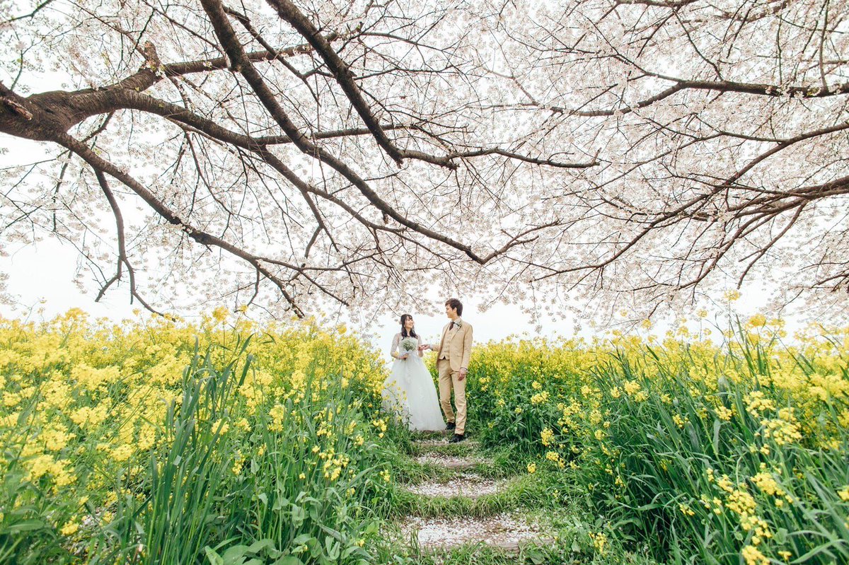 msw_27's tweet image. 本日5/29結婚しました。