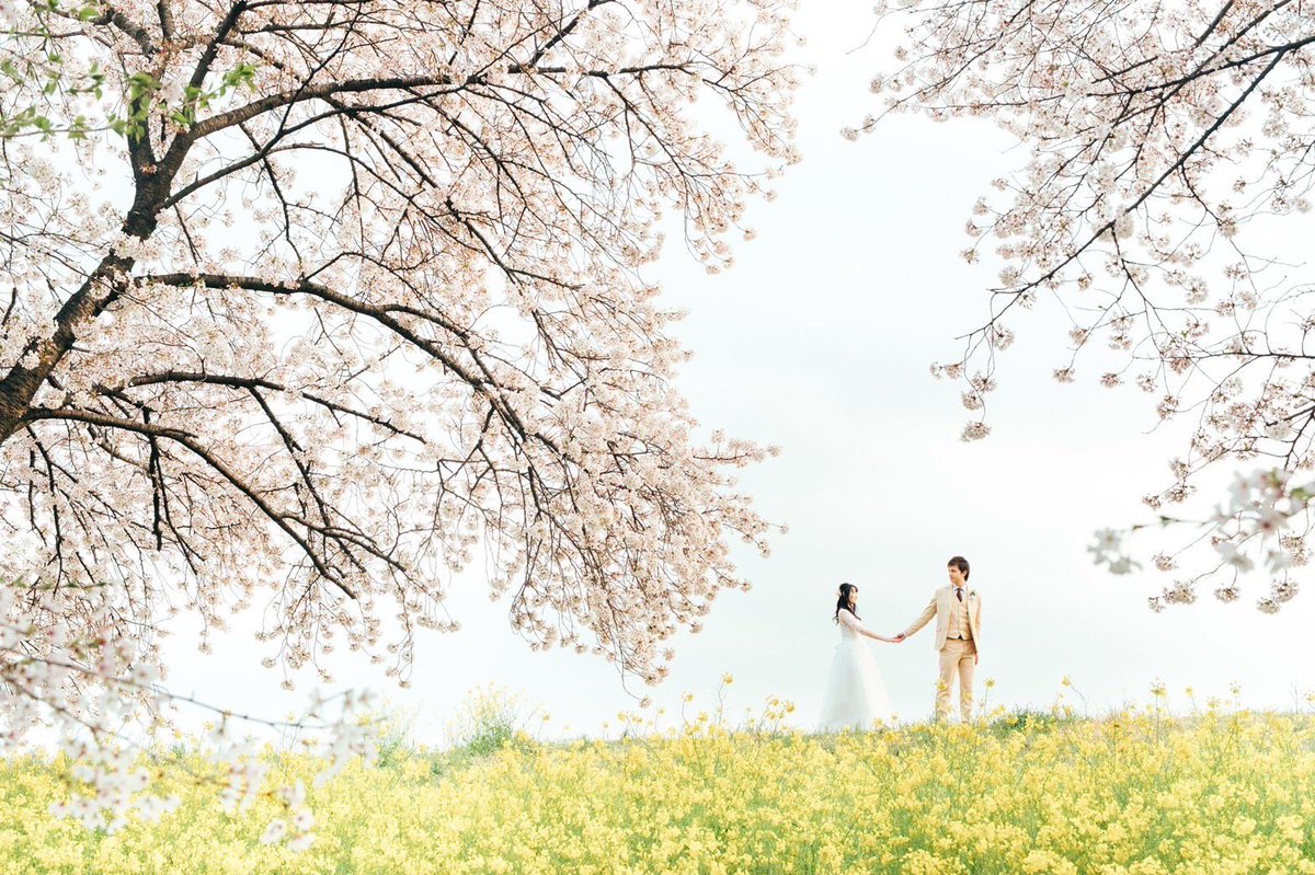 msw_27's tweet image. 本日5/29結婚しました。