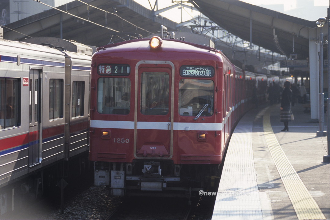 1000形のTH特急印西牧の原行き。逆光でわざわざ撮ったのだから珍しい