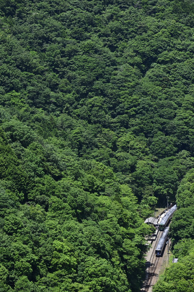 n2458_n2424's tweet image. 今日の9024Dは緑の坪尻で千年と交換。
 #Remember2000