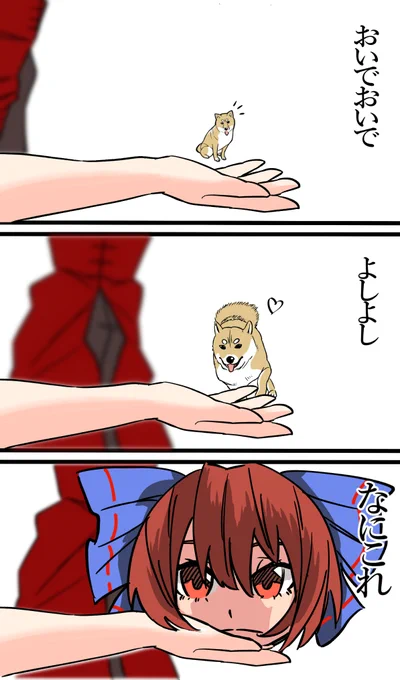 習性 
