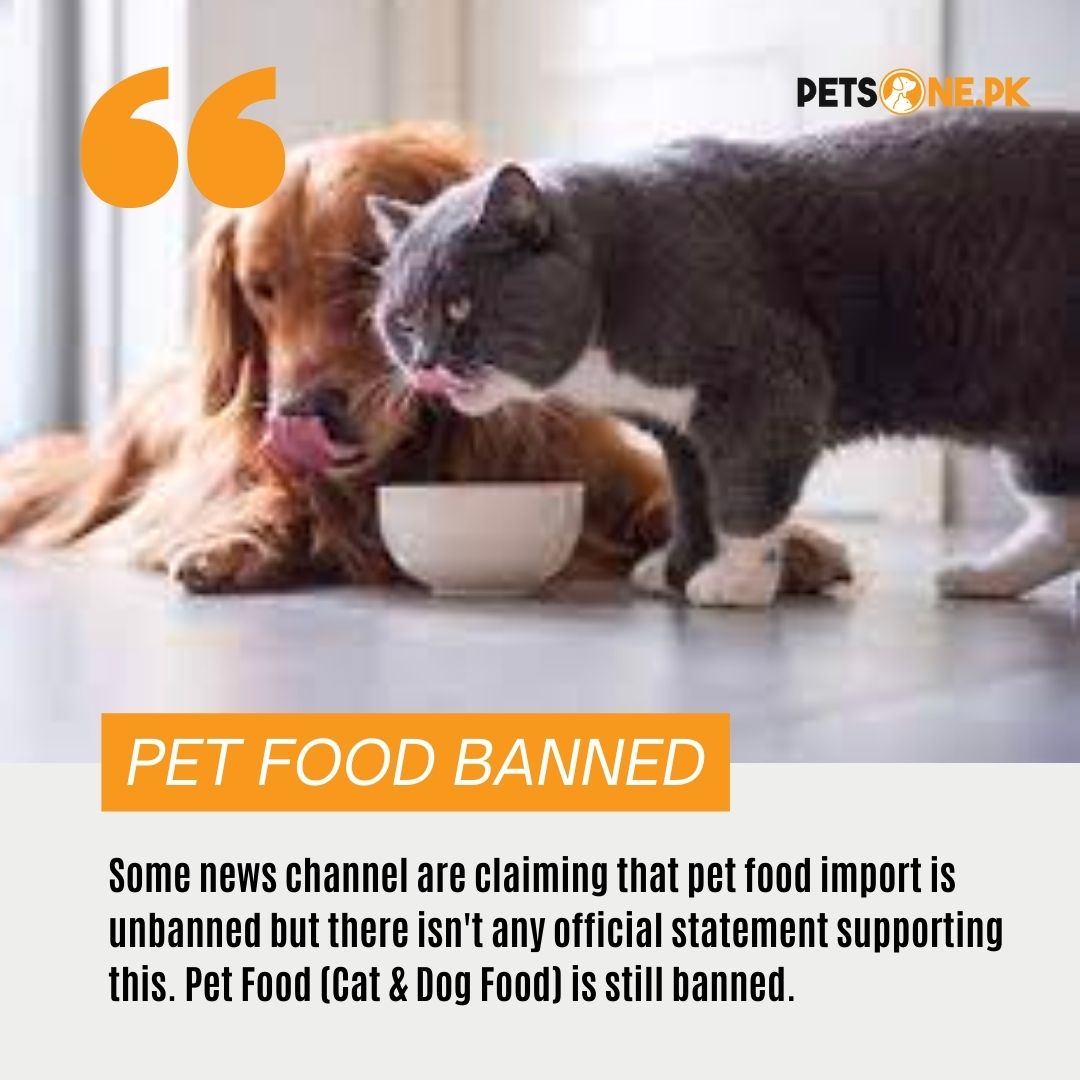 PetsOnepk's tweet photo. Some news channel are claiming that pet food import is unbanned but there isn't any official statement supporting this. Pet Food (Cat &amp; Dog Food) is still banned. Most recent SRO says that animal food (except cat and dog) import is unbanned. https://t.co/VVIY2dm1i5