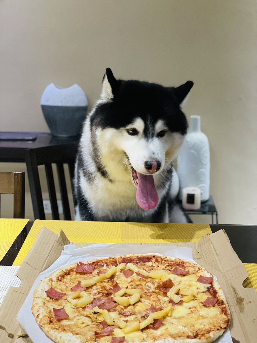 jayliangco's tweet photo. #Binance #BinancePizza 🐶🐾🍕 https://t.co/VcYmz8XNzr