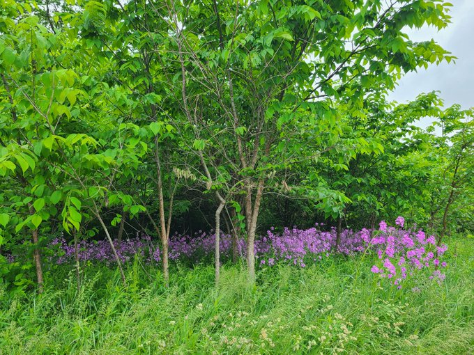 hiii https://t.co/gnoGY3Rn8m<a href="/tag/bdsm"class="tags"><span>#bdsm</span></a><a href="/tag/leatherfetish"class="tags"><span>#leatherfetish</span></a><a href="/tag/leathermistress"class="tags"><span>#leathermistress</span></a>