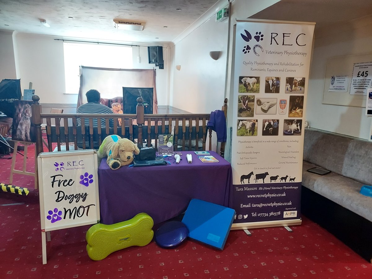 recvetphysio's tweet photo. The PAWS Fun Dog Show is in full swing here at the Prestatyn Constitutional Club. Why not come down and join in the fun! https://t.co/57aqLUDsk5