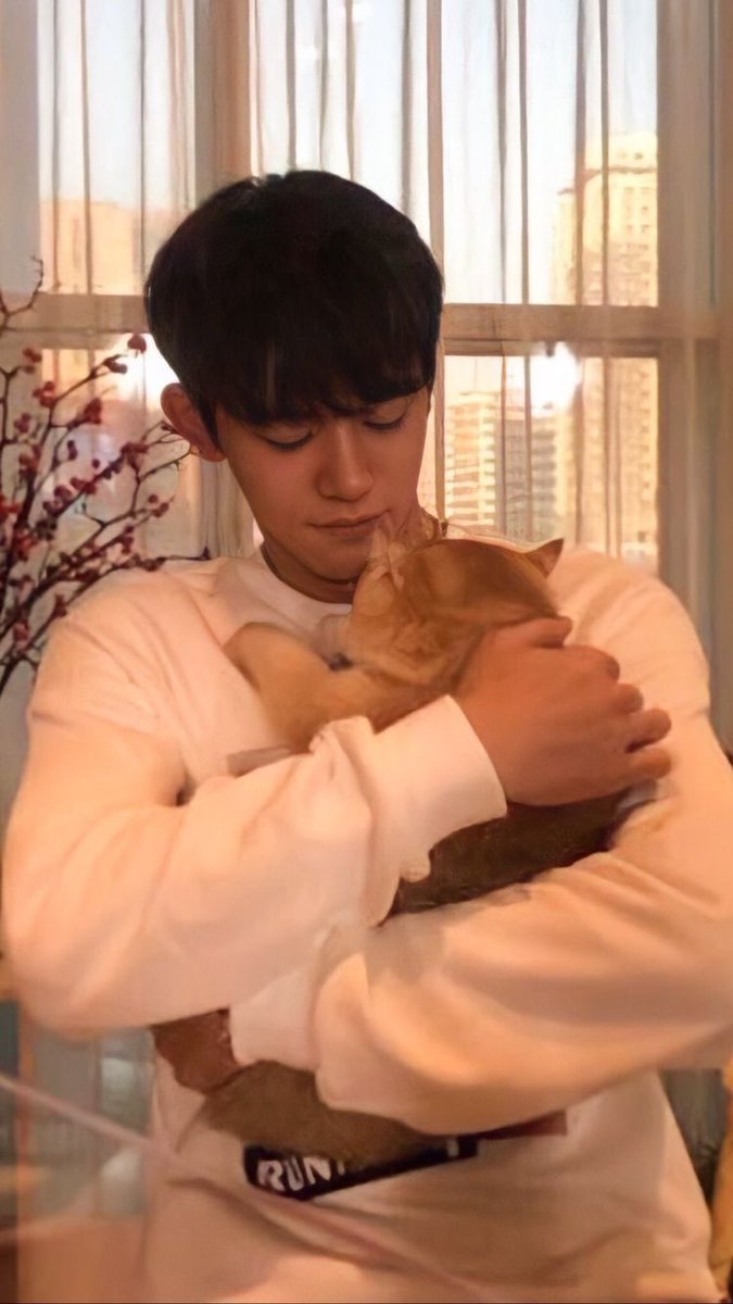 kikiki_yuki_'s tweet photo. два кота😭🤲
#wayv7 #LUCAS 
#LucasWeLoveYou #lucasback https://t.co/eDuNPQyZcQ
