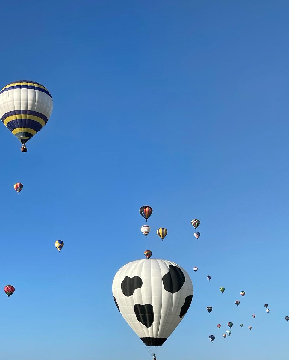 akdutton123's tweet photo. @spann @TaylorSarallo hot air balloon fest in Decatur AL. 
Ft. Our dog Hank enjoying the sunshine. https://t.co/7WGGPLx0N6