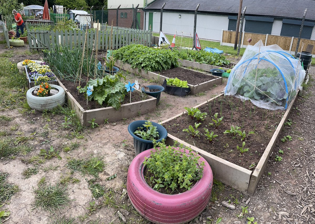 This plot normally looks like a swimming pool, but thanks to a pump and some drainage it’s now usable <a href="/nwibofficial1/">North West In Bloom</a>