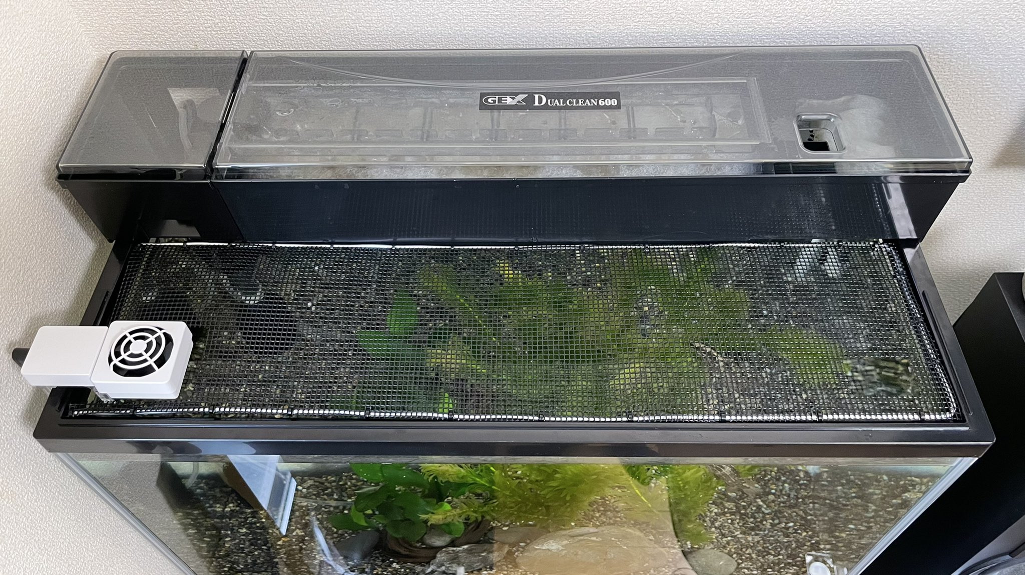 えいじゃ 冷却ファン設置用にメッシュ水槽蓋つくった オヤニラミ 水槽蓋 自作 アクアリウム Aquarium T Co 8onmvoaxu6 Twitter