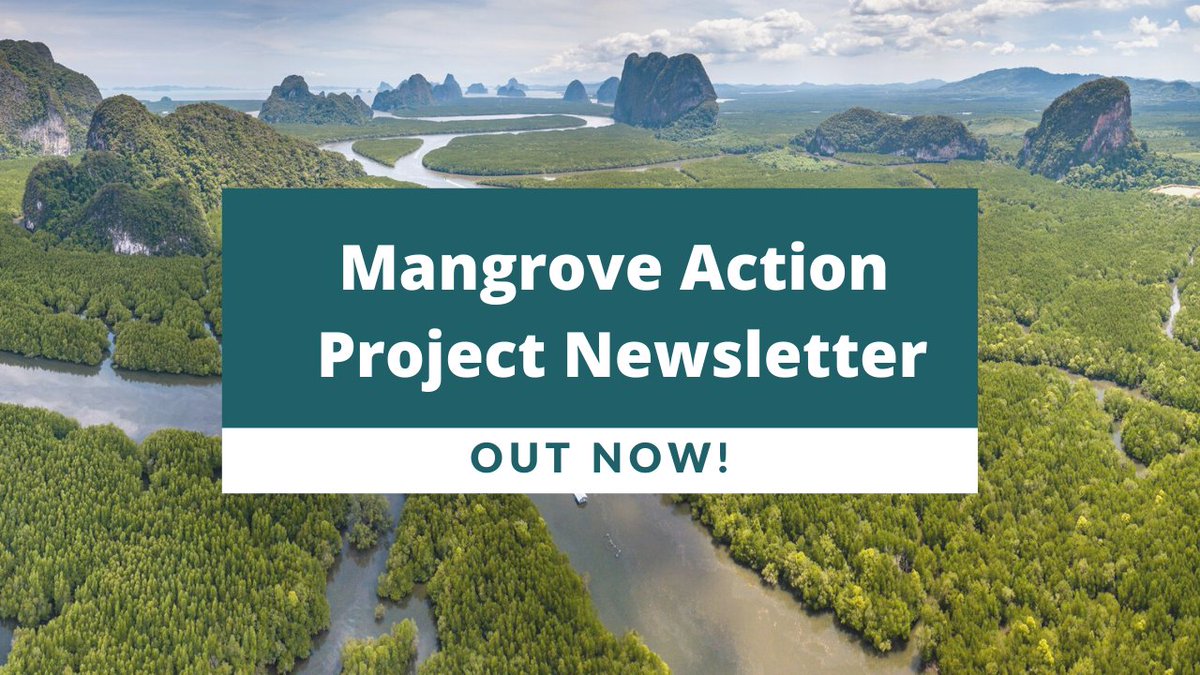 MangroveProject's tweet photo. Our latest newsletter is available! Read about how #mangroves have topped the #climate risk list, the World Forestry Congress pushing for a healthier future with forests, communities protecting mangroves in Bermuda, &amp; much more!

https://t.co/UvYy7TBYdA https://t.co/lcKCfZzPPt