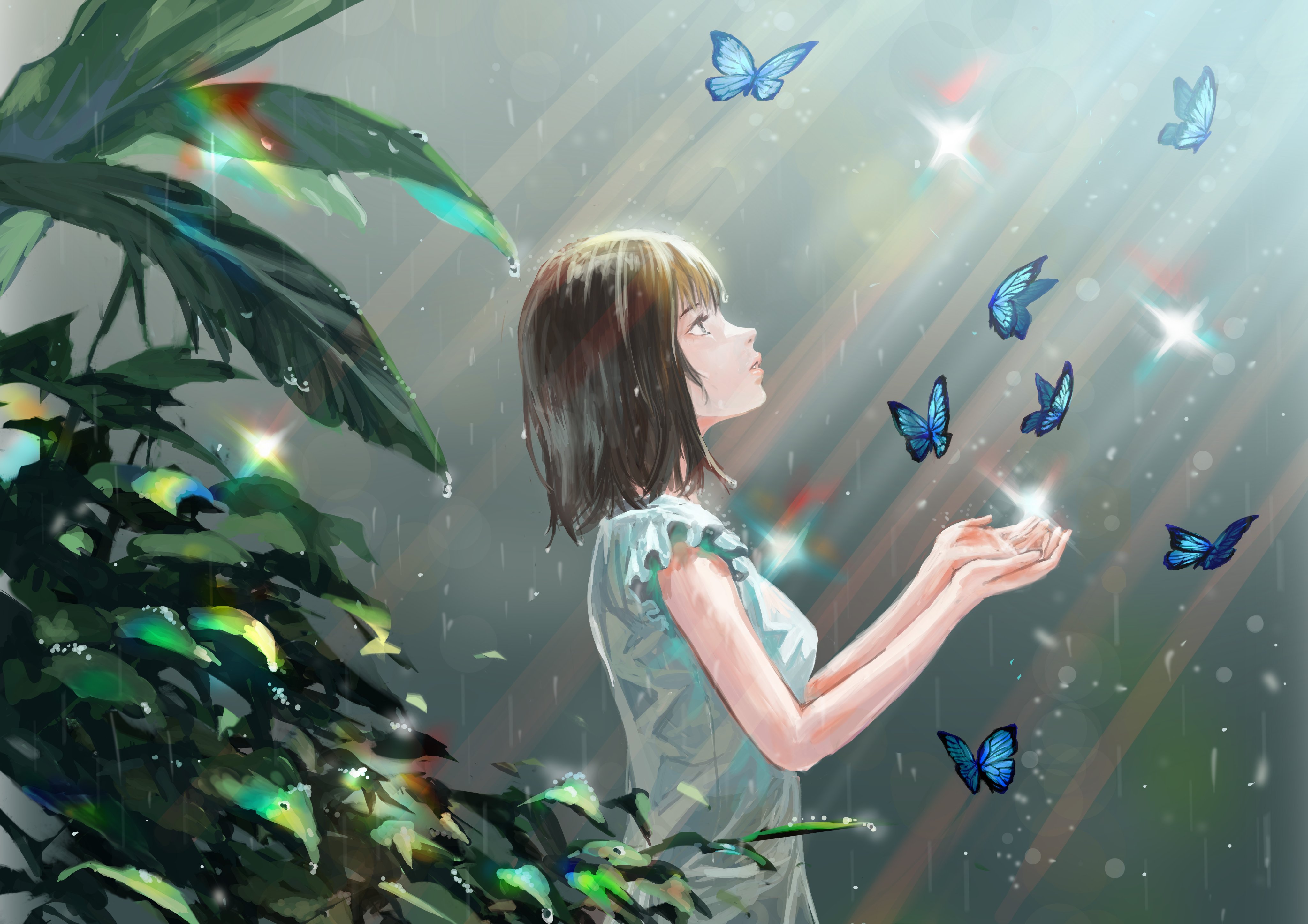 雨のイラスト Twitter Search Twitter