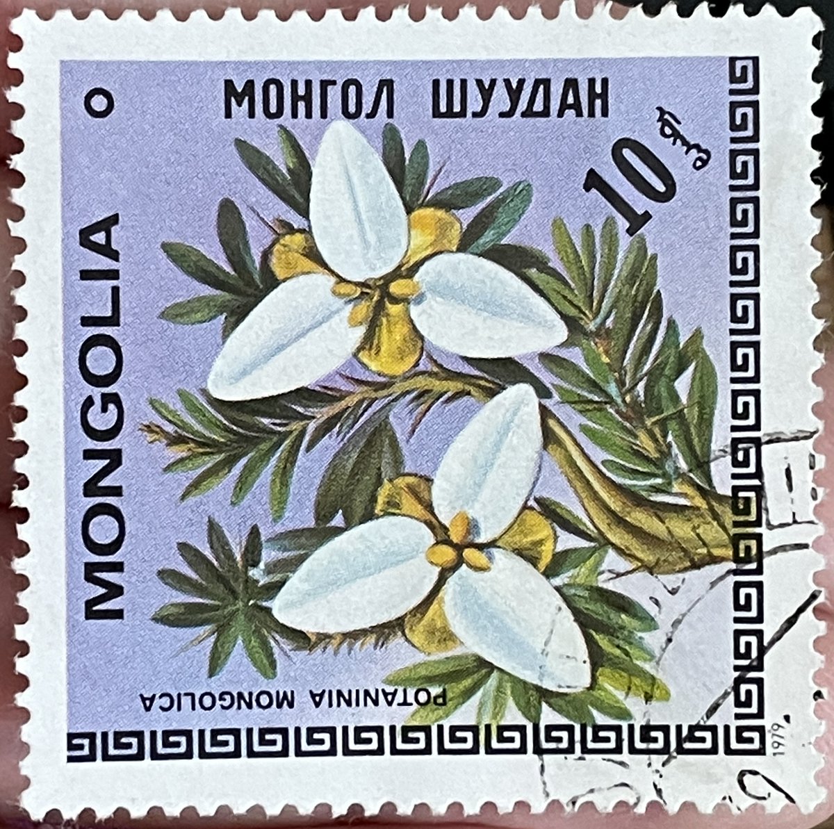 a stamp, every day (@stampeveryday) on Twitter photo 