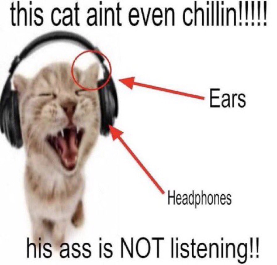 broadbnd_'s tweet photo. me everytime ‘Abbey’ by broadband is playing https://t.co/Ry8I0GiKqQ