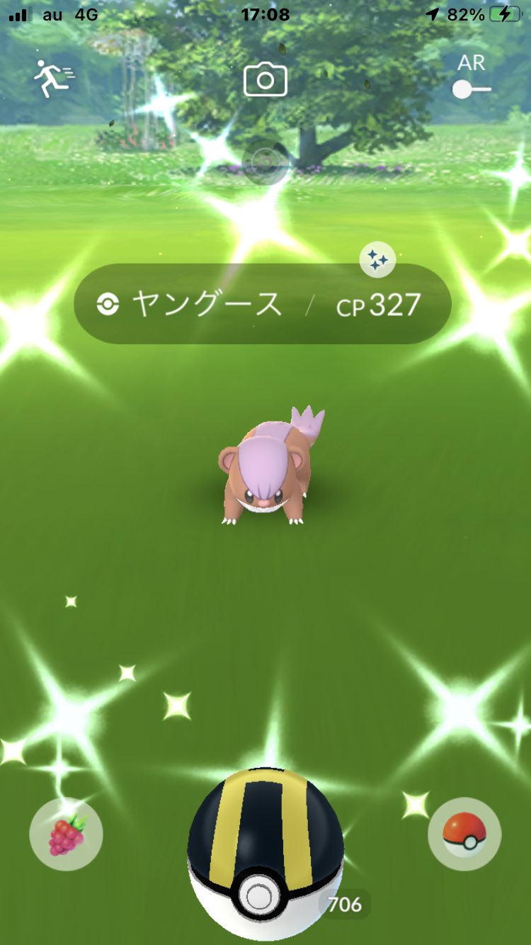 やじ 本日 色違い2匹 通常交換にて お初の 色違いクリスマス帽ヒトカゲ と 4匹目の 色違いヤングース Get M A ピカブイloveさん交換ありがとうございました 5 ポケモンgo 色違い 色違い連チャンgetチャレンジ 山梨 T Co