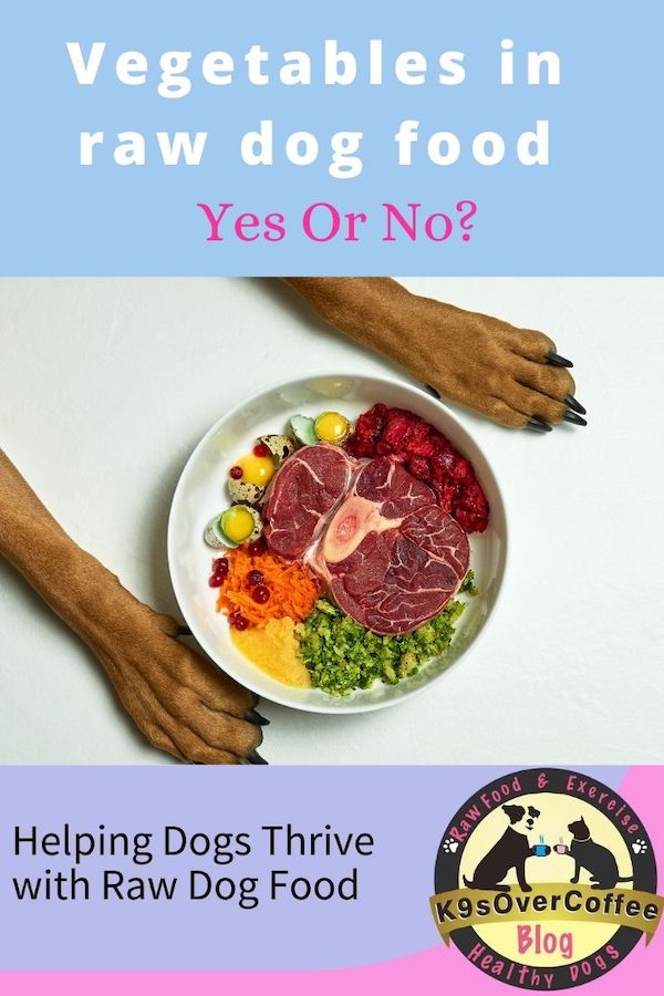 K9s Over Coffee tweet media