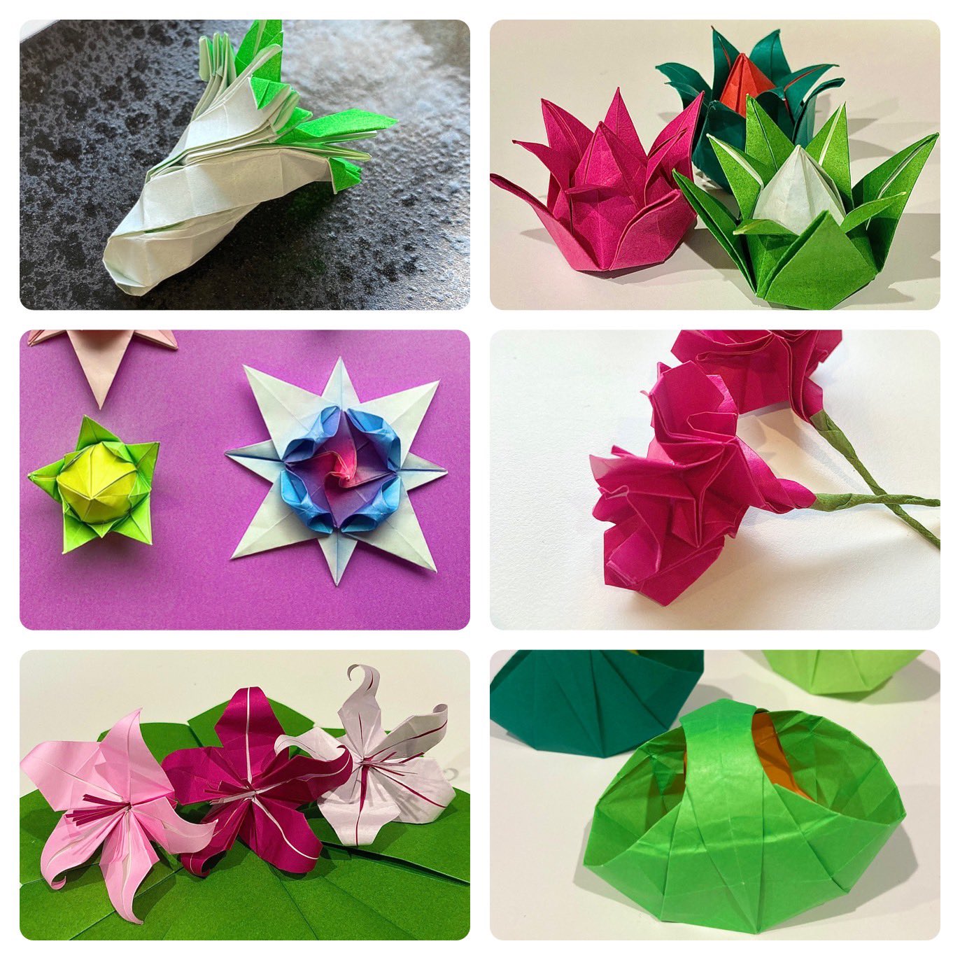 Tigerlily I4yv1 Origami Twitter