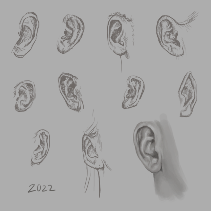 Nicola Hynes tweet media