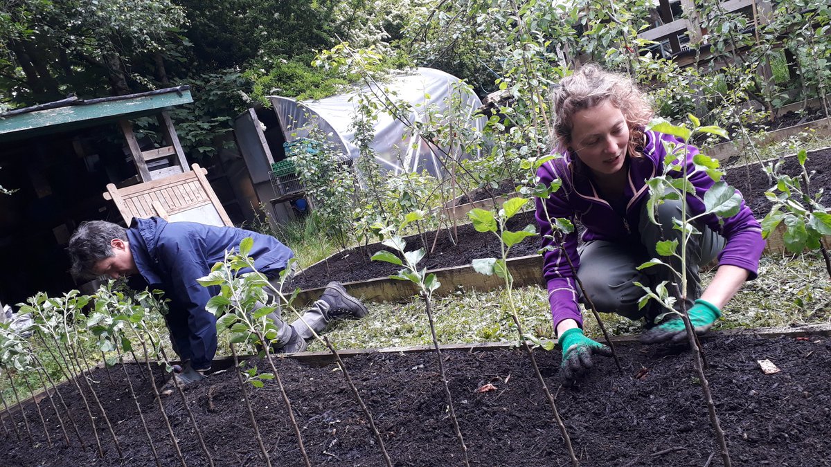 Let's Grow Together tweet media