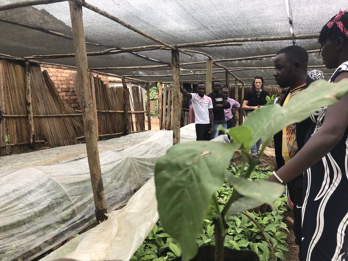 These photos were taken on 27.05.2022.
A-delegation of Agripoolers Visited Kibinge Coffee to follow up on the implementation of various youth activities and their engagement in agribusiness. Special thanks to <a href="/geerseh/">Hannah Geerse</a> <a href="/marineumukunzi/">Marine Umukunzi</a> <a href="/Agriterra/">Agriterra</a> @AgriterraUG