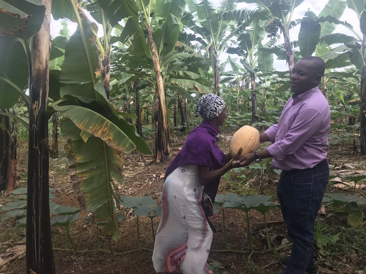 KibingeCoffee's tweet photo. These photos were taken on 27.05.2022.
A-delegation of Agripoolers Visited Kibinge Coffee to follow up on the implementation of various youth activities and their engagement in agribusiness. Special thanks to @geerseh @marineumukunzi @Agriterra @AgriterraUG https://t.co/Ho9LHRQBPr