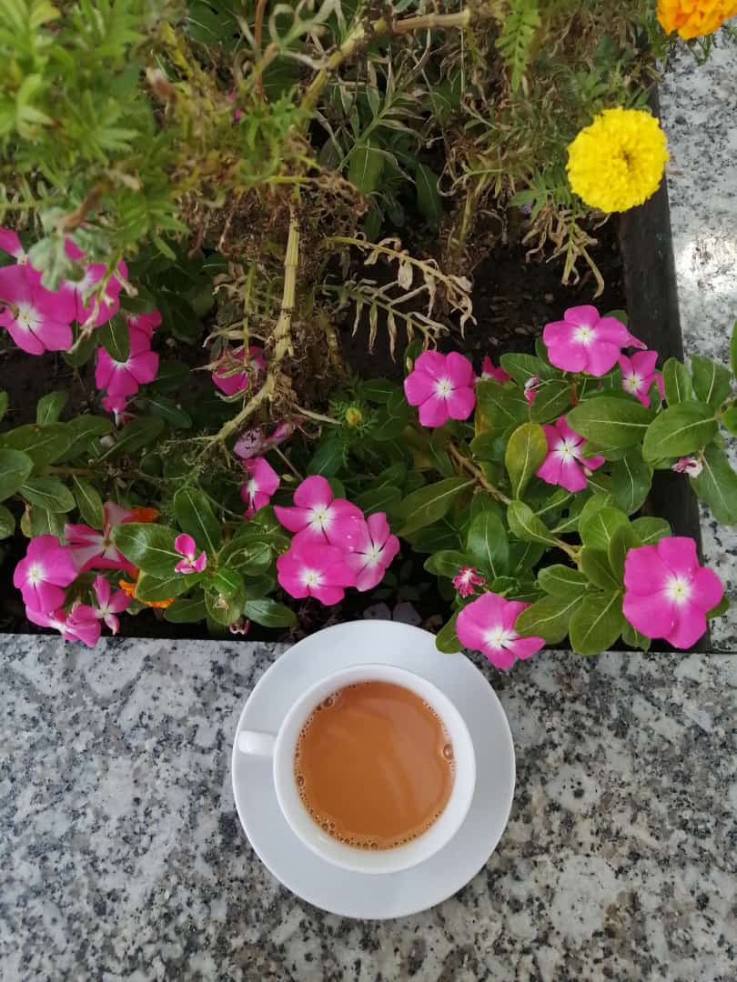 اللّهم إنا نسألك حبك، وحب من يحبك، وحب العمل الذي يقربنا إلى حبك، وأصلح ذات بيننا، وأَلّف بين قلوبنا، وجنبنا الفواحش ما ظهر منها وما بطن ♥️

#مساء_الخير