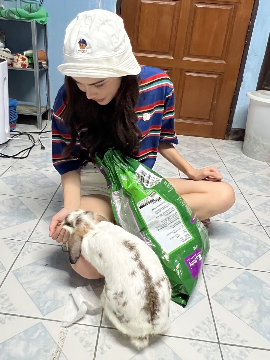 itscharlotty's tweet photo. พิกกี้บูบู้กับเจ้าจุ้มปุ๊ก💗🐰 #ชาล็อตออสติน https://t.co/n1jEfhSRAr