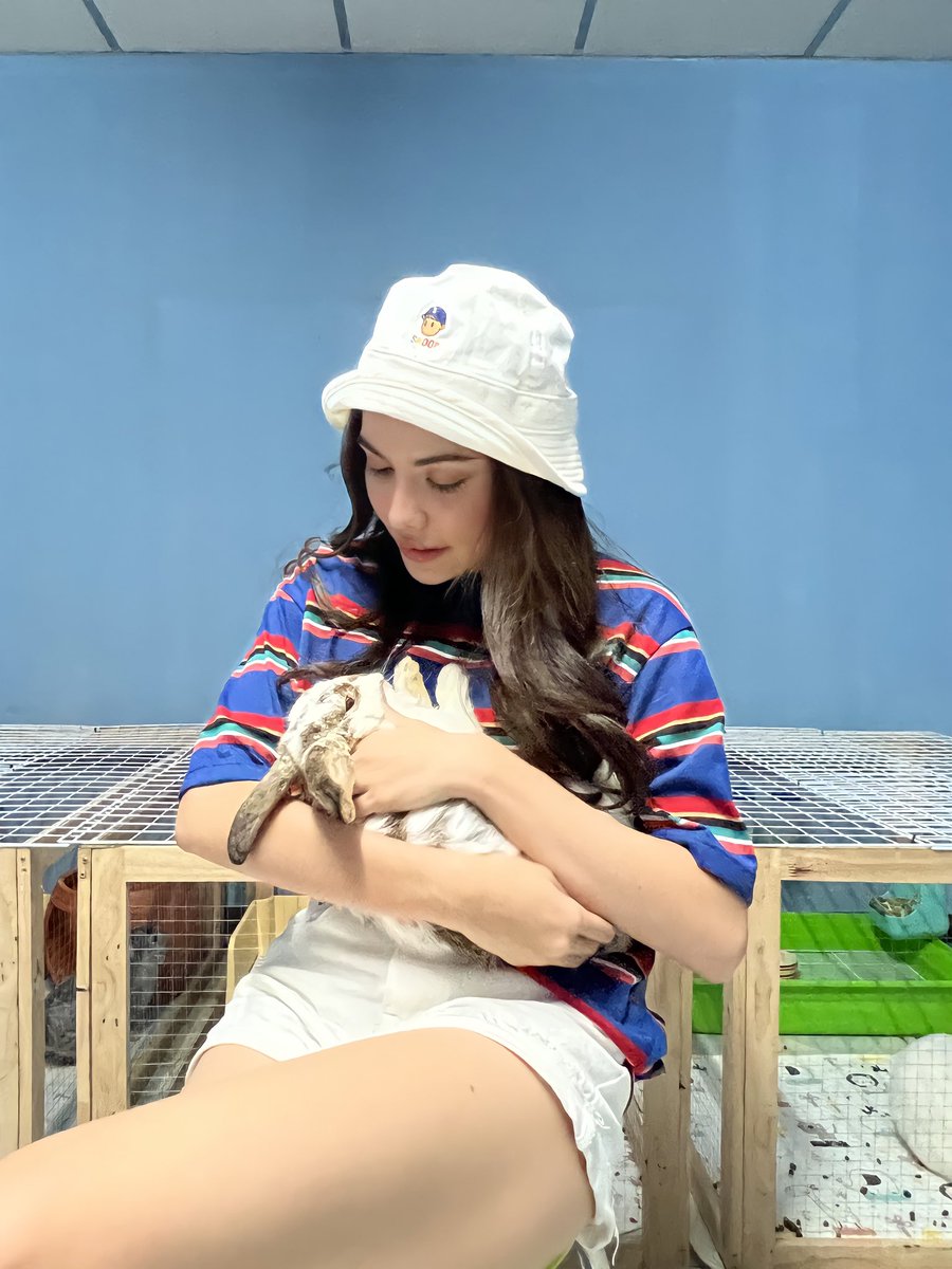 itscharlotty's tweet photo. พิกกี้บูบู้กับเจ้าจุ้มปุ๊ก💗🐰 #ชาล็อตออสติน https://t.co/n1jEfhSRAr