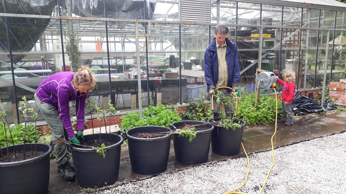 Let's Grow Together tweet media