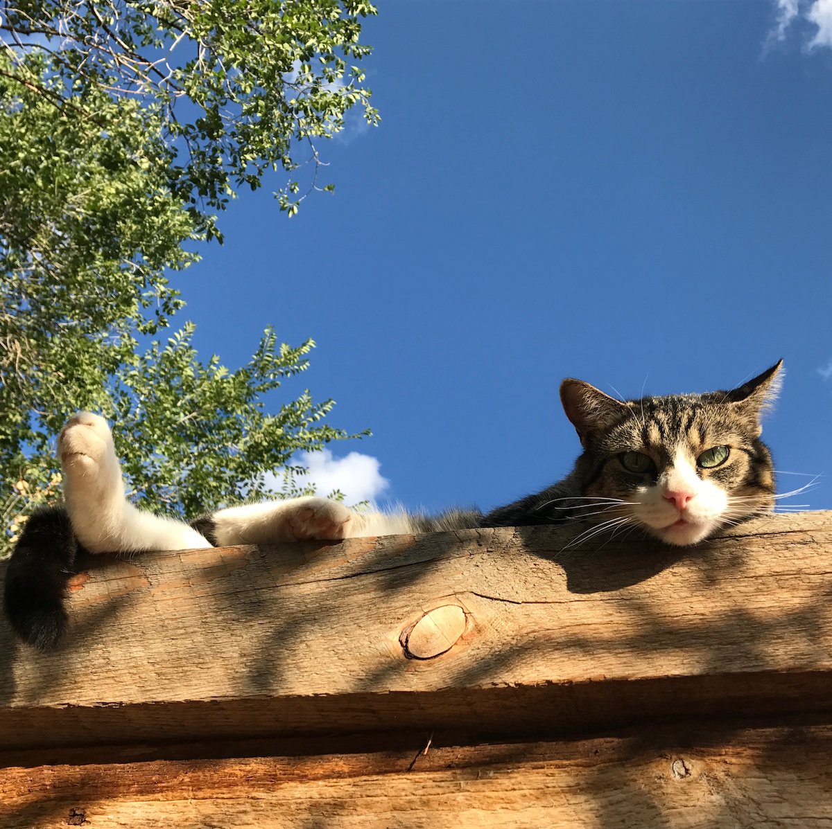 RIJewelry's tweet photo. From time to time, we could all use a little R&amp;R...

Happy #MemorialDayWeekend! Our Santa Fe gallery will be closed tomorrow for the holiday. We'll be back on Tuesday.

Of course, you're free to browse and order 24/7, 365, at https://t.co/2r271g1wJE. 😘 https://t.co/JaNDd8D89P