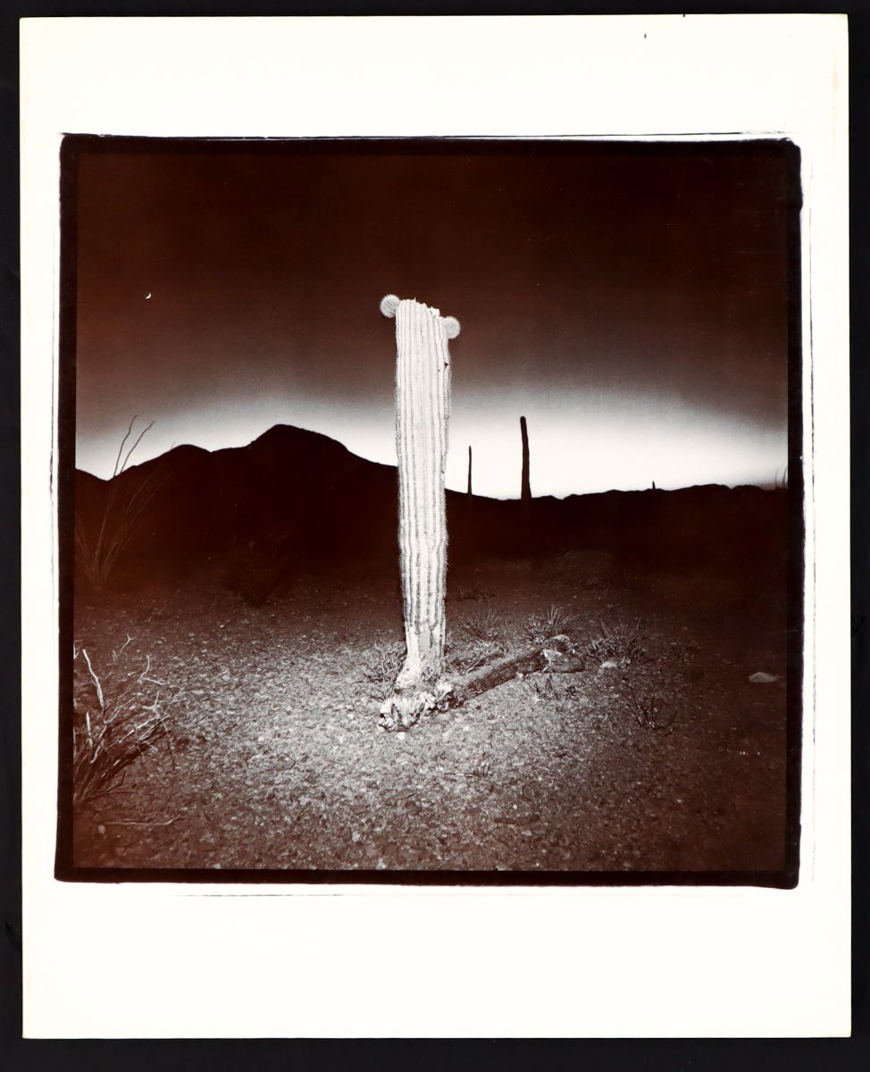 PHOTOBOOKDAILY. Back in Stock: Nancy Rexroth + Out of Print: Ansel Adams (signed), Edward Weston, Richard Misrach, Bill Henson, Lee Friedlander - mailchi.mp/photoeye/photo…