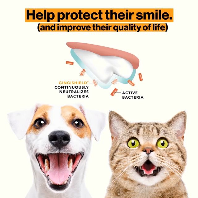 Tell your veterinarian about GingiShield veterinary dental sealant. #VeterinaryCare #pets #mansbestfriend