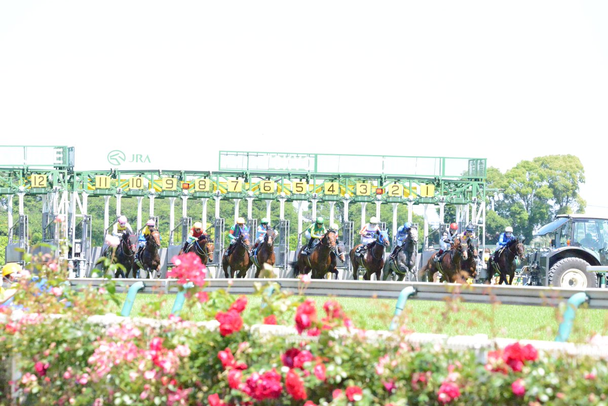 falitkm's tweet photo. 疲れ果てたので今日はもう寝るだけ
初ダービー格別だった
来年も行きたいね観客倍になってるかもだけど https://t.co/ylI2pBgbZ4