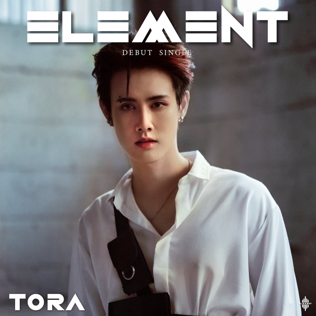 ELEMENT DEBUT SINGLE
2022.06.11

TORA 
<a href="/bank_torch/">Banktoranin🐯</a>

#ToraElement
#ELEMENTTH
#ELEMENTDebutProject
#StarHunterEntertainment