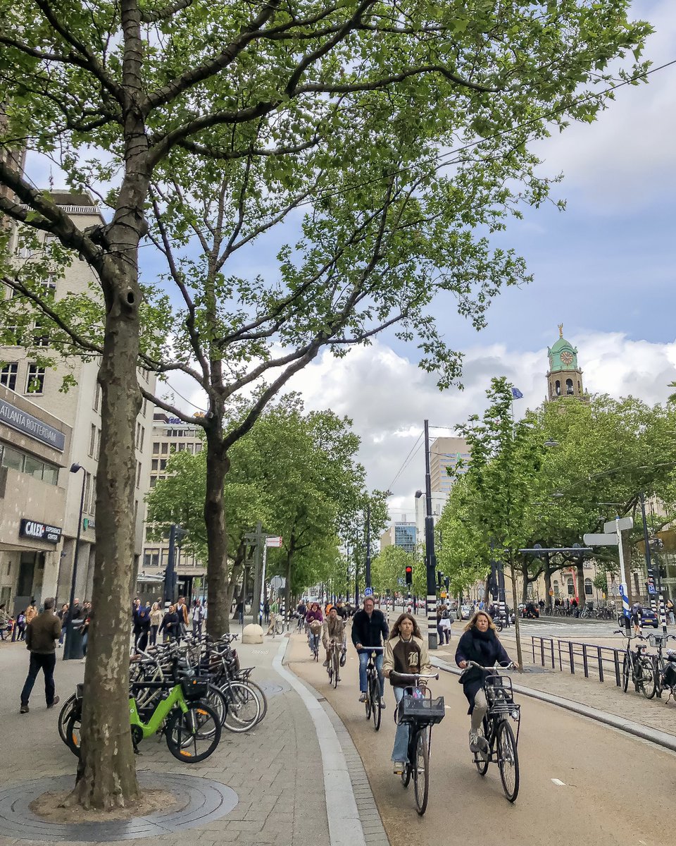 modacitylife's tweet image. 10,000 fewer cars per day.

That’s the stated intent of Rotterdam’s reimagined Coolsingel.

All but two lanes have been removed; with a dedicated tramway and abundant space for walking, rolling and gathering.

Design your street for the traffic you want, not the traffic you have.