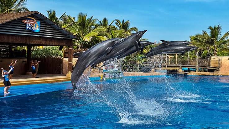hawukelan1's tweet photo. Ushaka marine world, Durban 📍

#SouthAfrica 6 https://t.co/2A0fa9O3zX