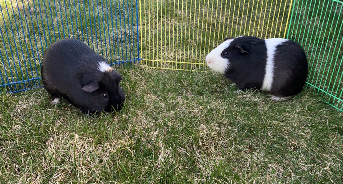 Anyways someone tell these mfs to get out of my house