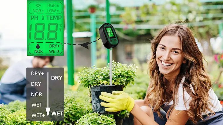 Gardener_Assist's tweet photo. Always be aware of the health of your plants with the soil tester!
https://t.co/O5PZThMd0H
#garden #gardening #soiltester #indoorgardening #gardenerassistant #growyourown #SoilHealth #LawnCare https://t.co/OzugNhytHQ