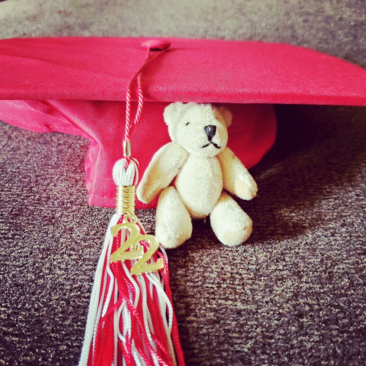 LittleBearFoundation tweet media