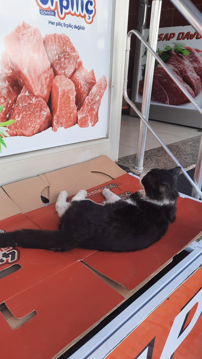 Anitibariyle ete bakış açımız budur. SADECE BAKMAKTAN İBARET.