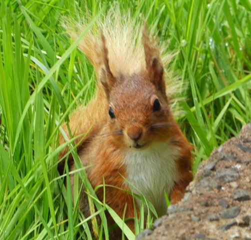 YHAEnnerdale's tweet photo. @YHAOfficial One sent in to us by a guest. 🥰 https://t.co/BYNCXnPIGb