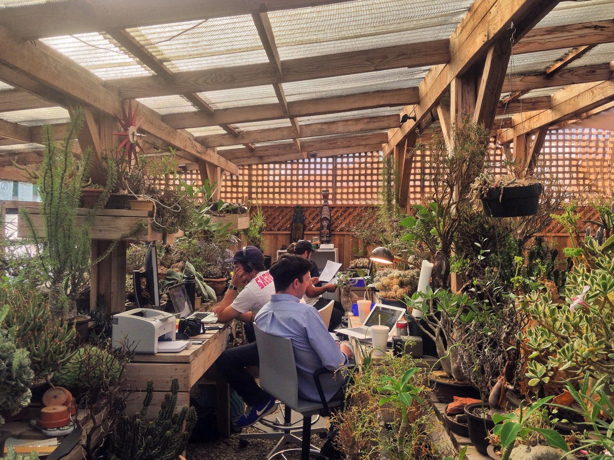 Pollen (@pppollen) on Twitter photo 