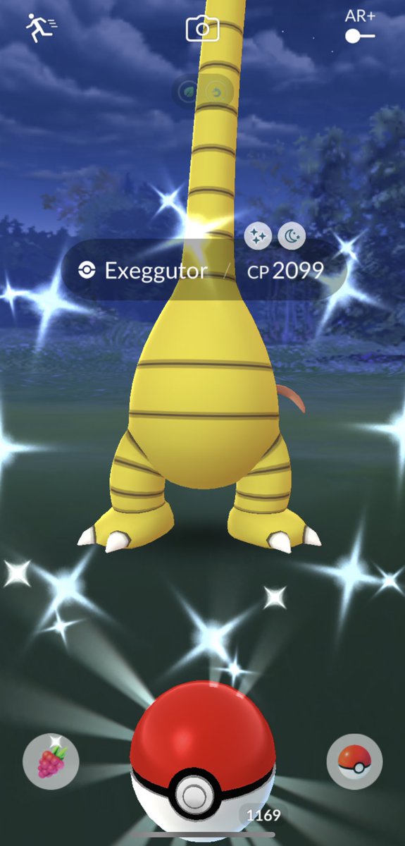 mrlongelote's tweet photo. Very happy with my second shiny Alolan  Exeggutor  🤩✨ and also got a hundo Yungoos from research! 💯 #PokemonGO #ShinyPokemon #ShinyExeggutor #Hundo https://t.co/bHQ5BQmVY2