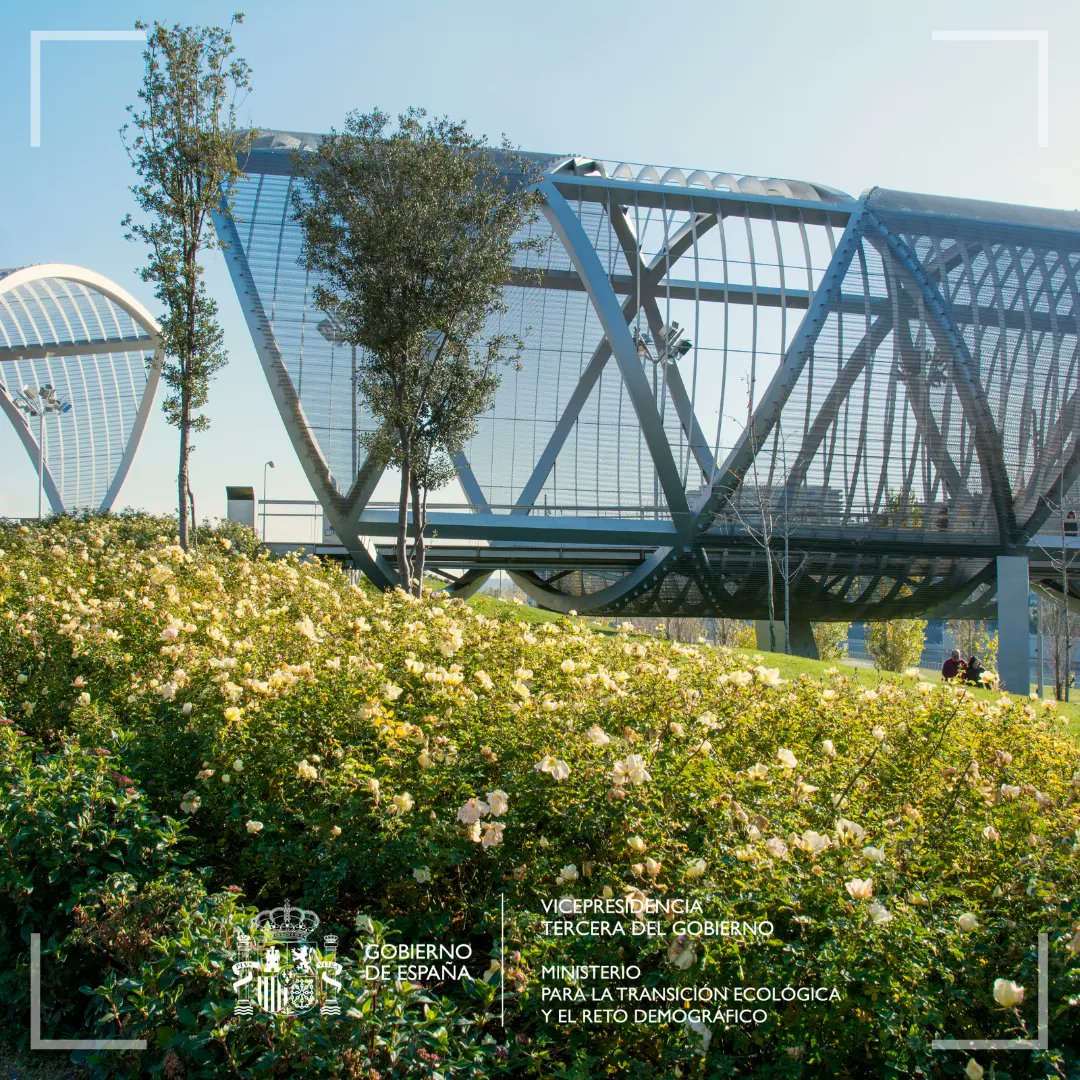 Las directrices de creación de Zonas de Bajas Emisiones💨 son una guía para que los municipios puedan descarbonizarse y regular la movilidad🚗 

🏙️Recogen los umbrales mínimos de una #ZBE en: 

🌬️Calidad del aire
⚡Eficiencia energética
🔊Ruido 
🌍Cambio climático