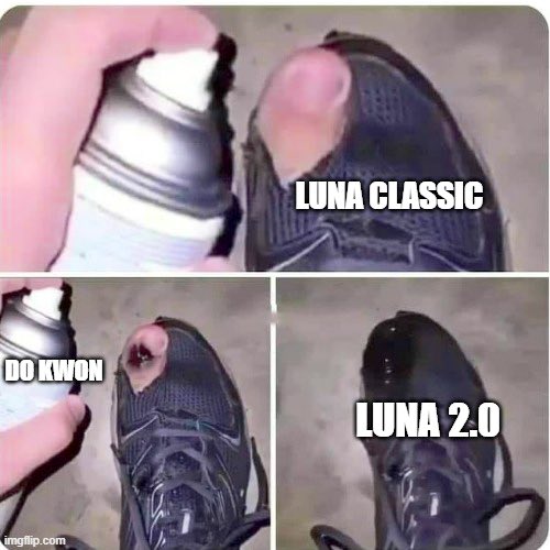 cryptobcncat's tweet photo. $LUNA 2.0 🙀 https://t.co/6PPTTRdcmW