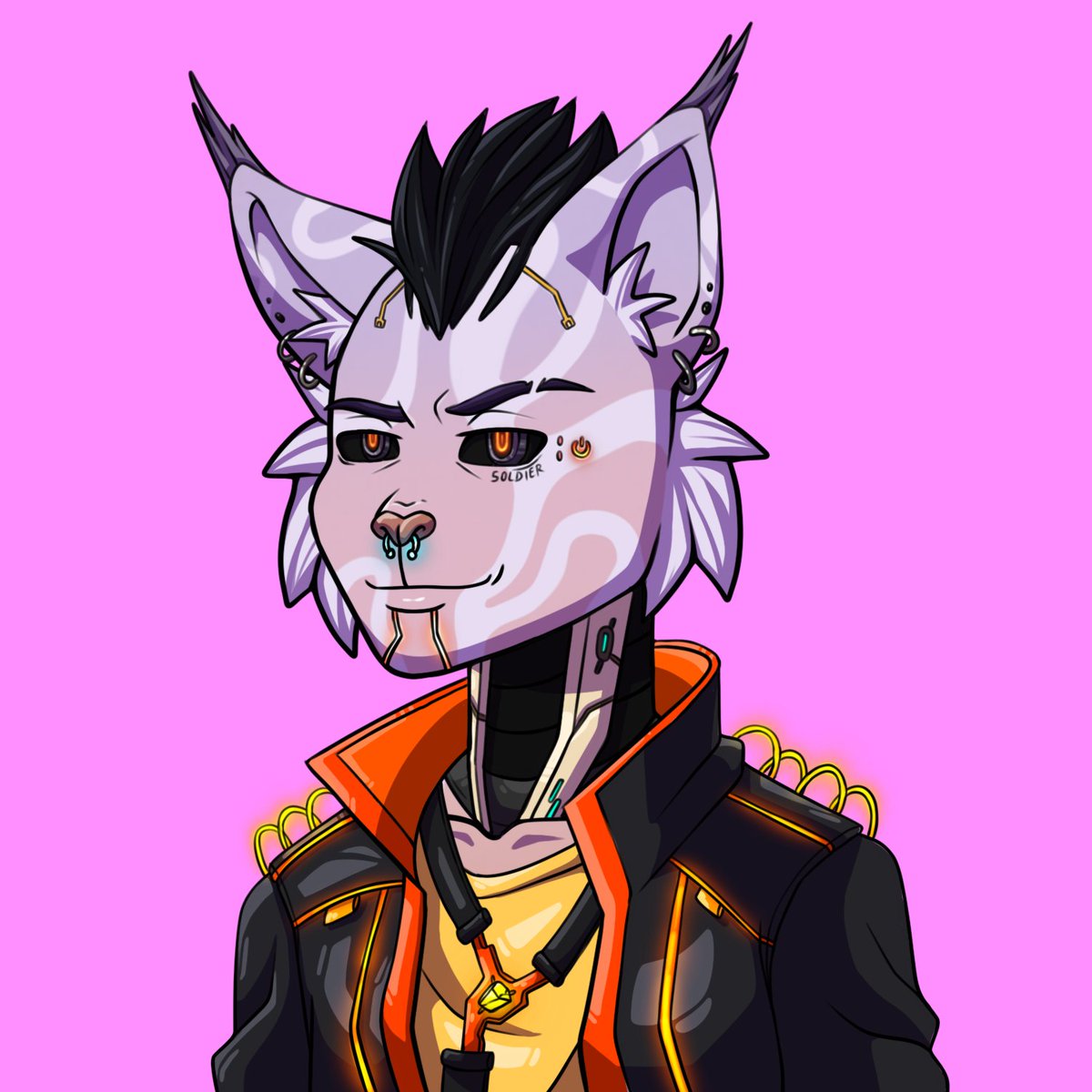 Cyberlinx 😼 tweet media