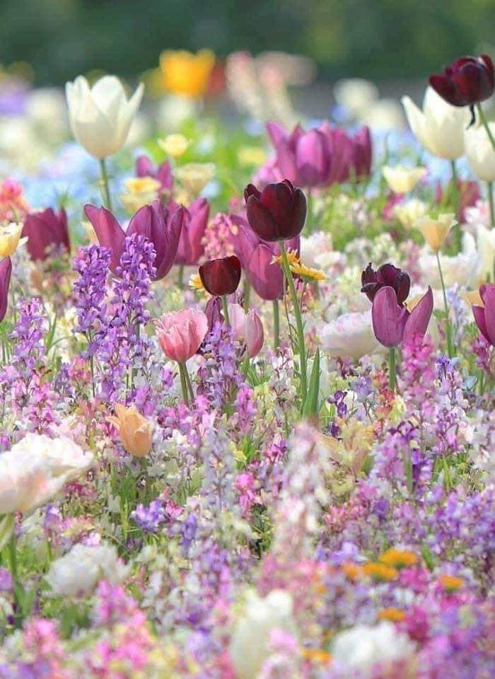 " Devo liberarmi del tempo 
  e vivere il presente
  giacché non esiste altro tempo
  che questo meraviglioso istante"
                                       Alda Merini